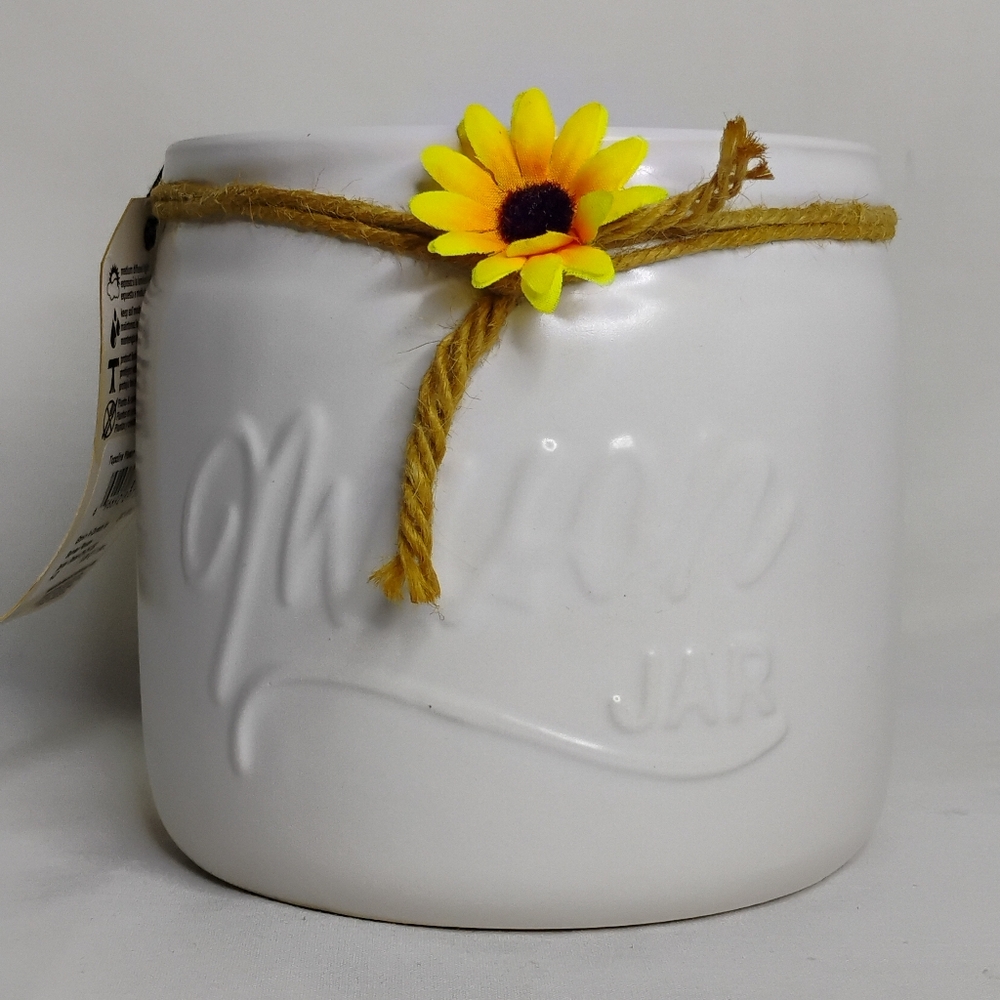 Cute Mason Jar Hendriks Greenhouse Plant Pot Sun Flower Twine Rustic Cottage